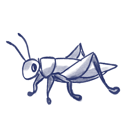 Cricket